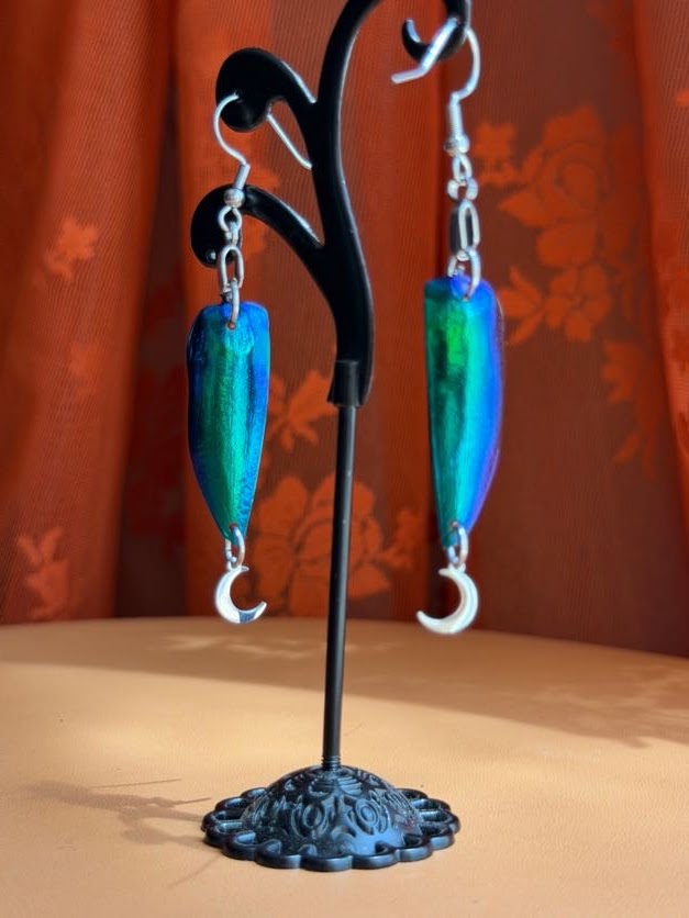 insect jewelry (earwings)