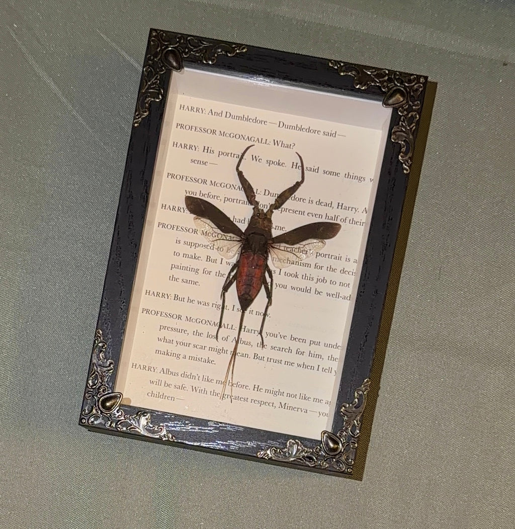 harry potter themed water scorpion