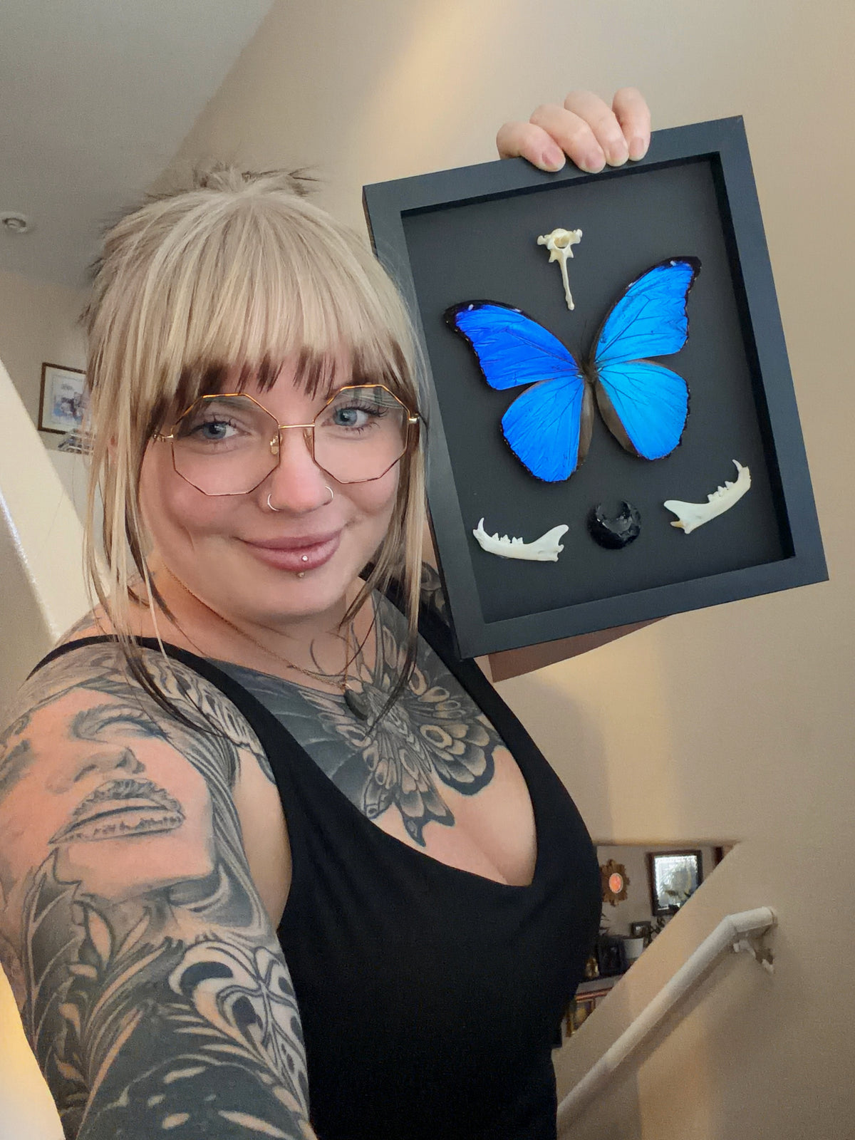 blue morpho & bobcat jaw