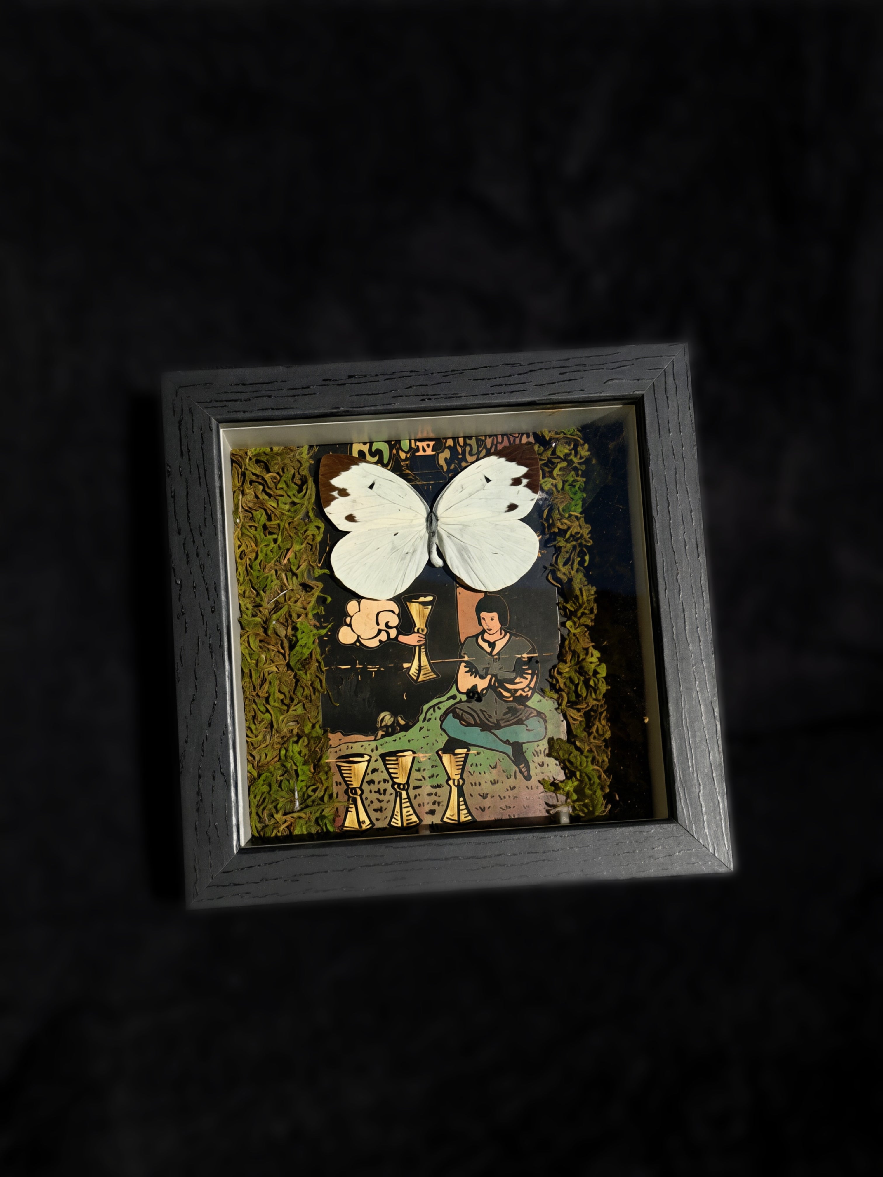 ascia buniae butterfly “four of cups” tarot collection w/ moss