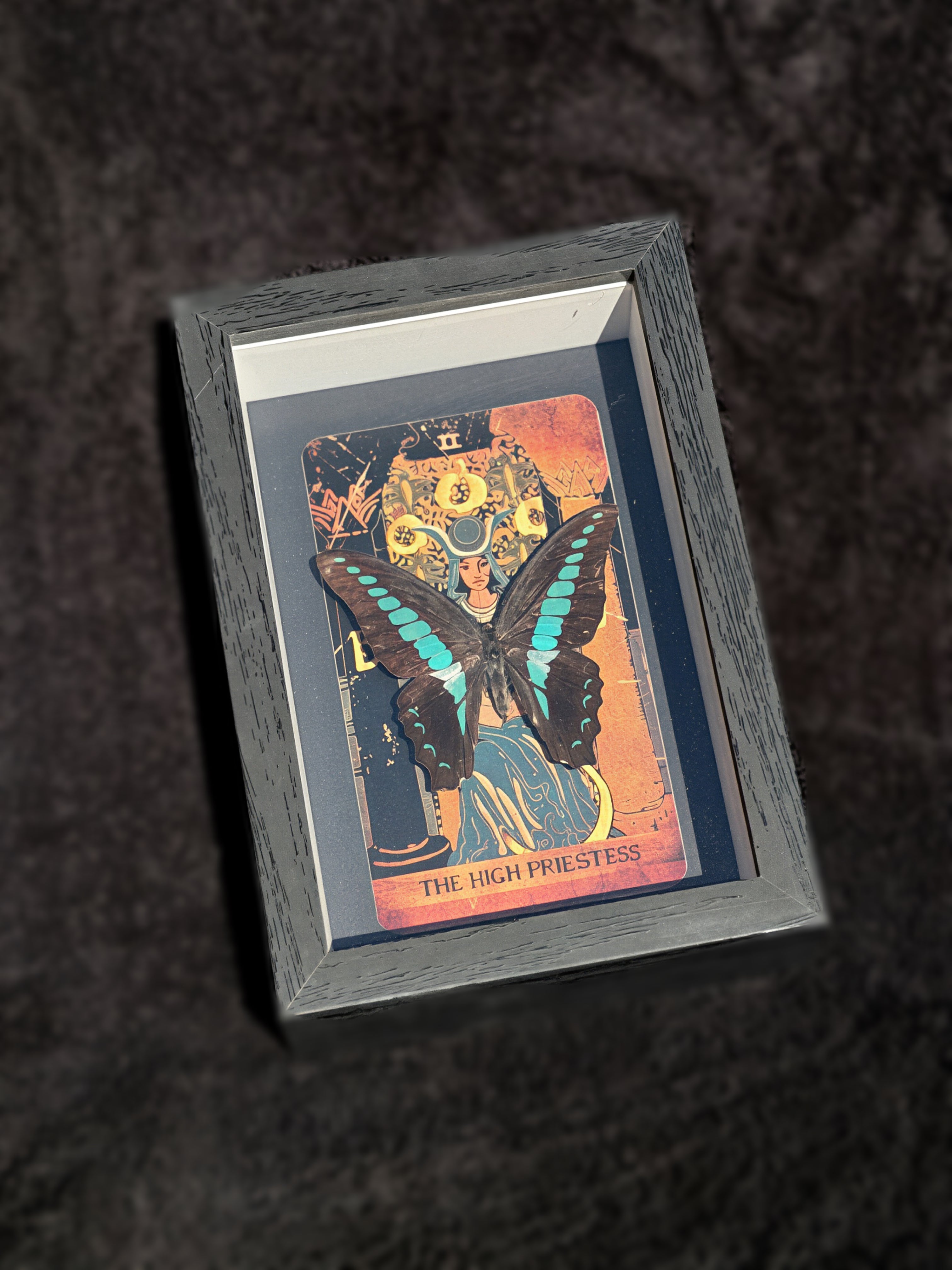 bluebottle butterfly “the high priestess” tarot collection