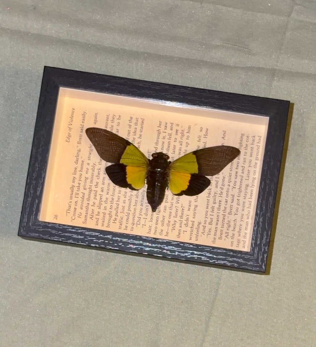 edge of violence themed green cicada