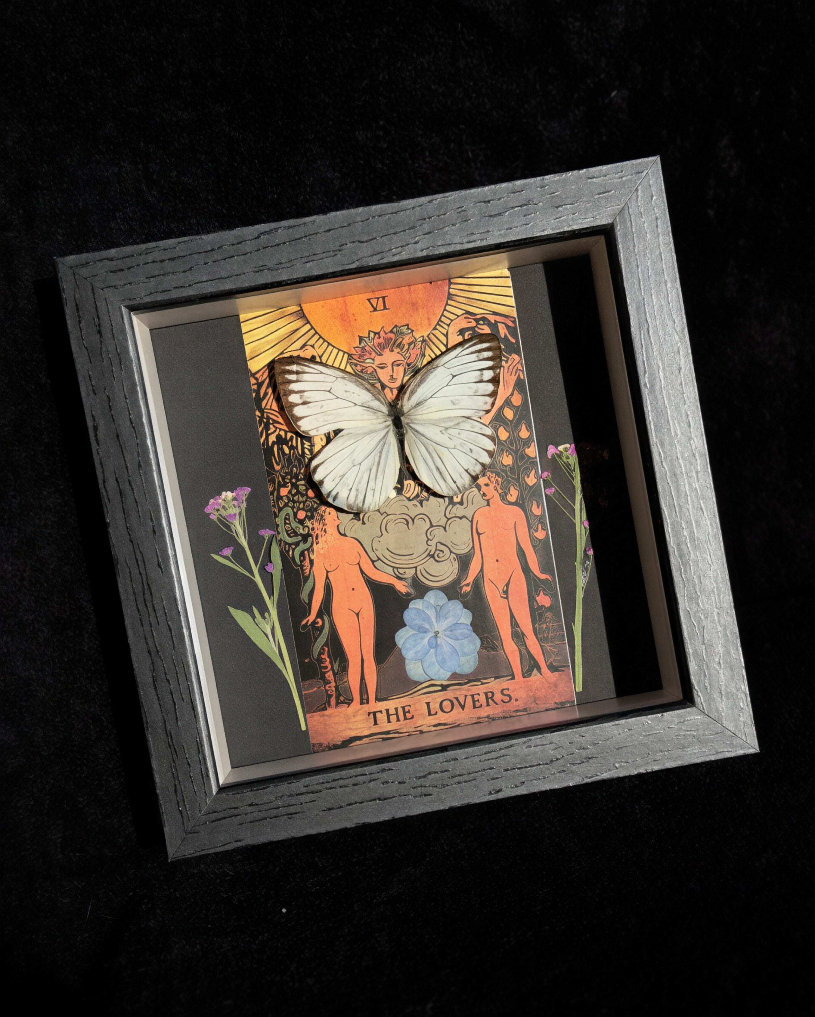 common gull butterfly “the lovers” tarot collection w/pressed florals