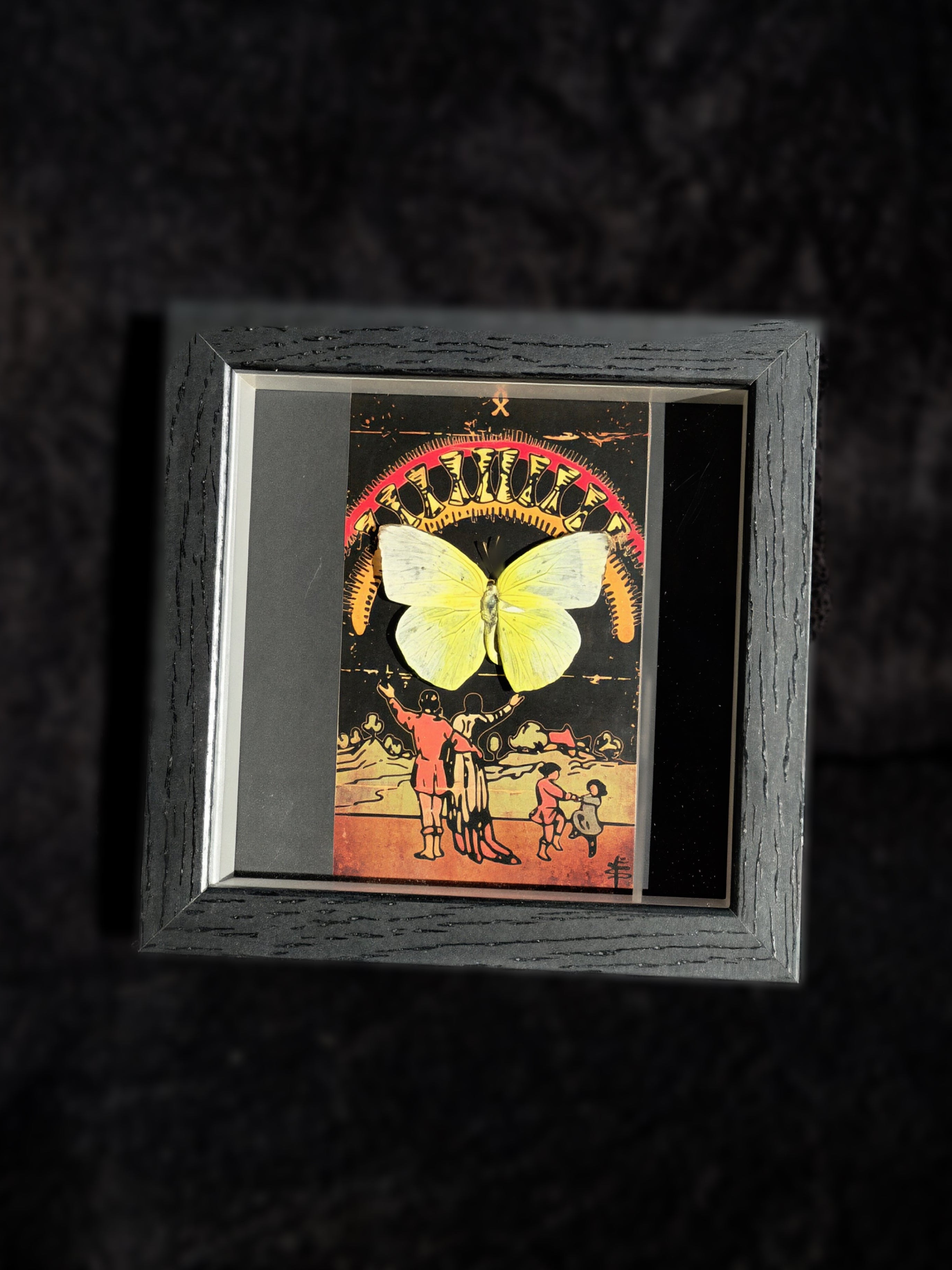 catopsilia pomona butterfly “ten of cups” tarot collection