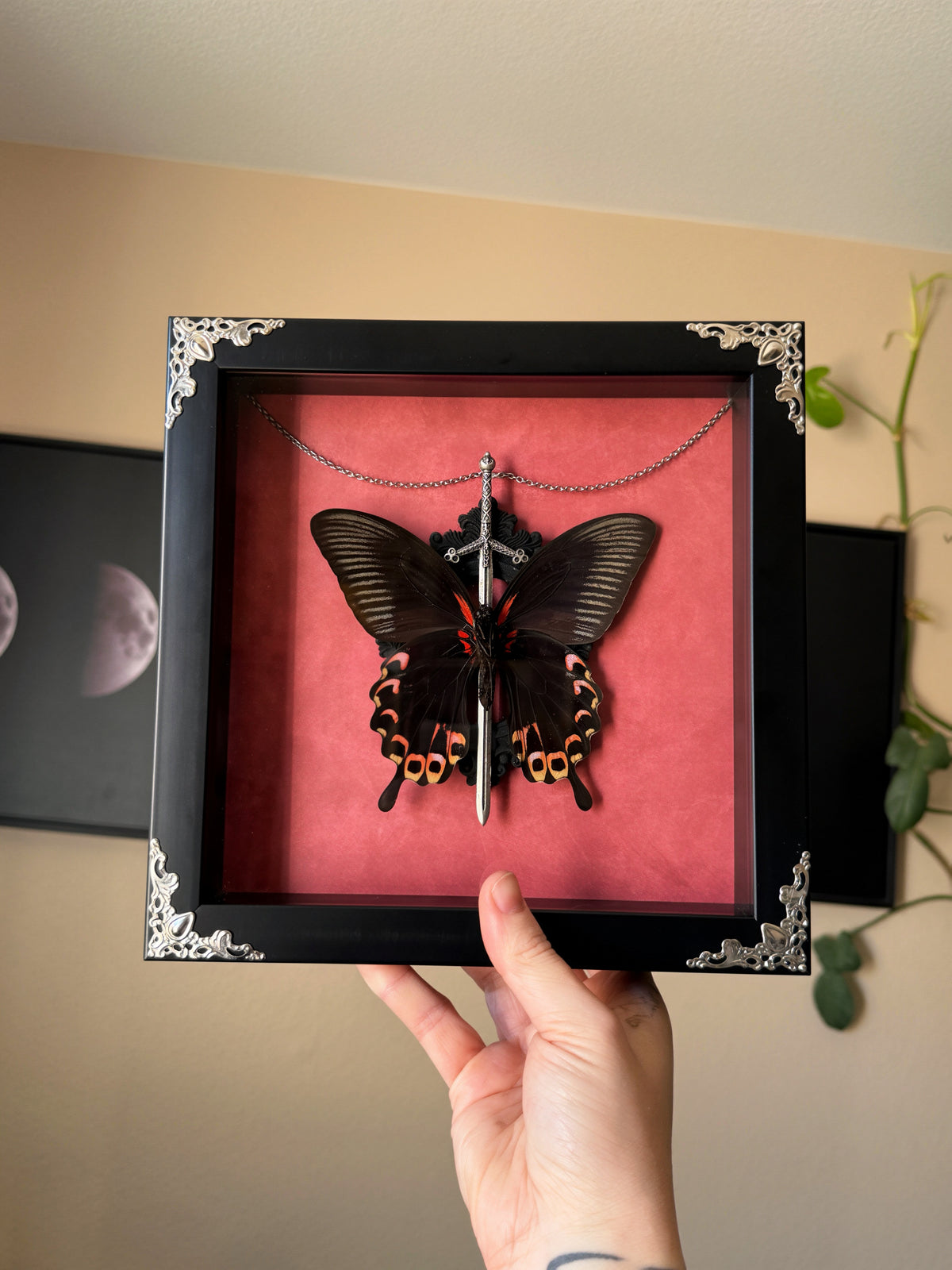 sword&chain swallowtail 9x9