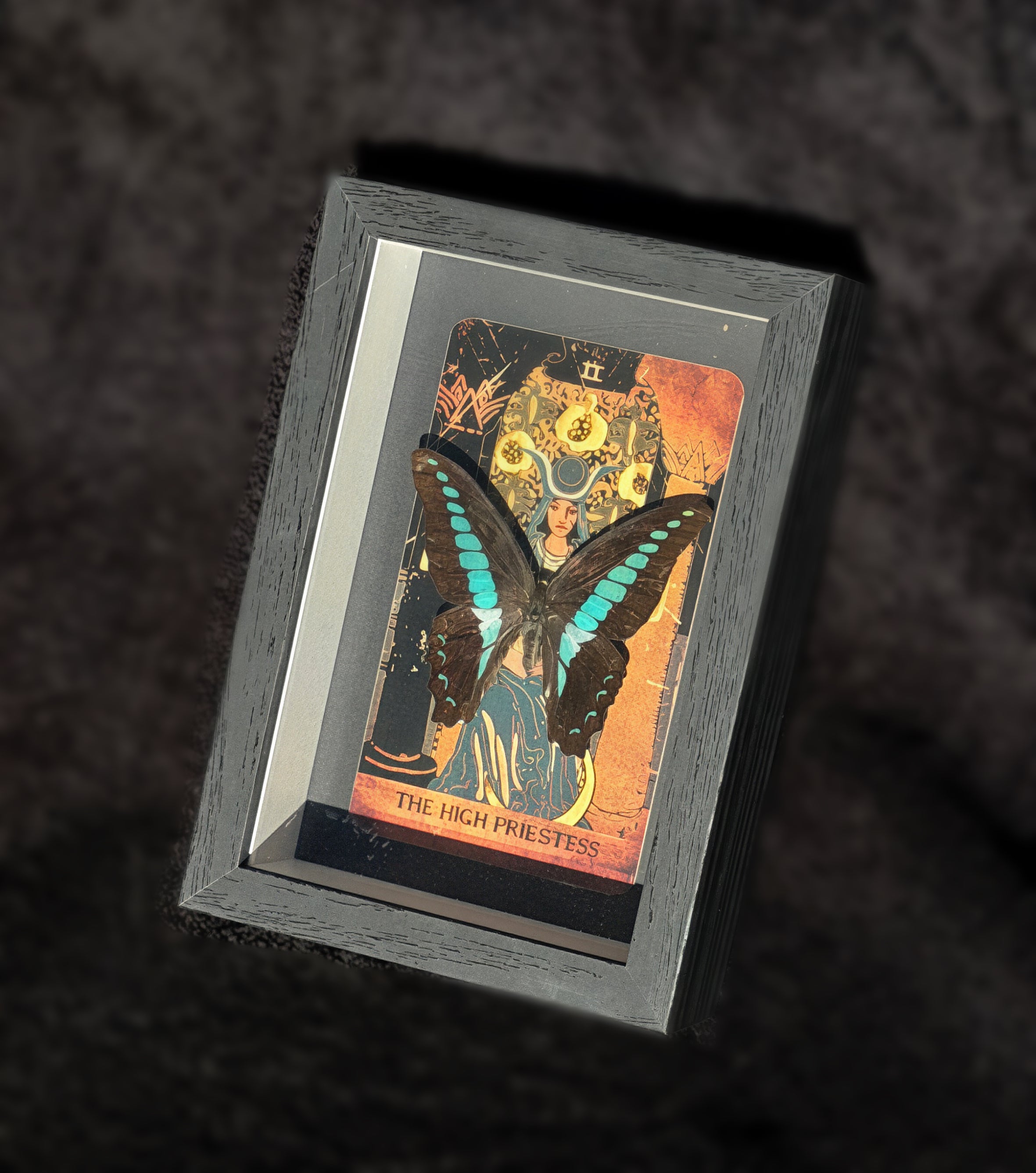 bluebottle butterfly “the high priestess” tarot collection