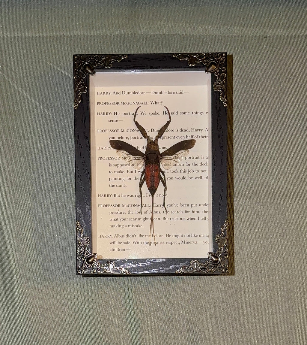 harry potter themed water scorpion