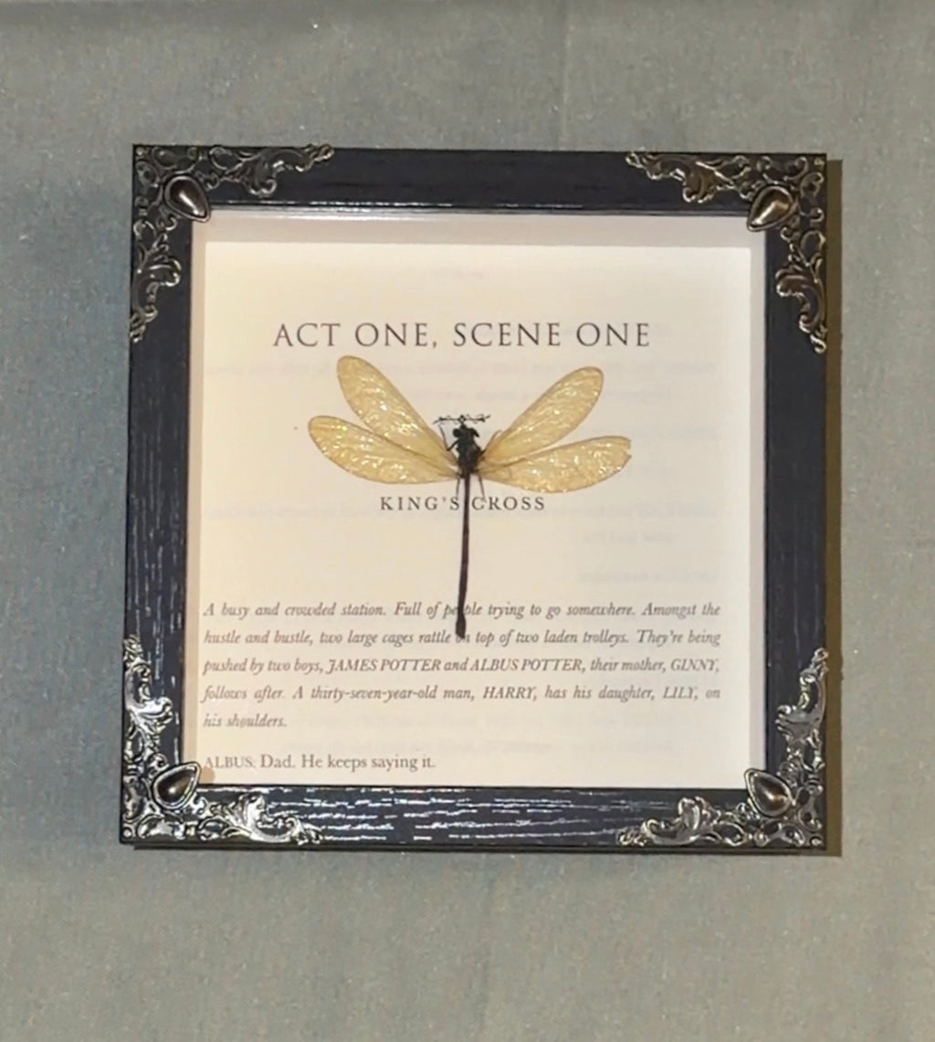 harry potter themed dragonfly