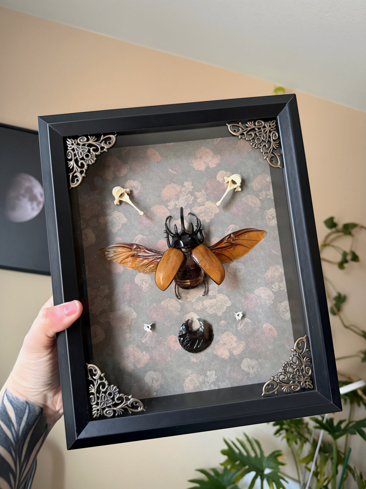five horned beetle w/ bones