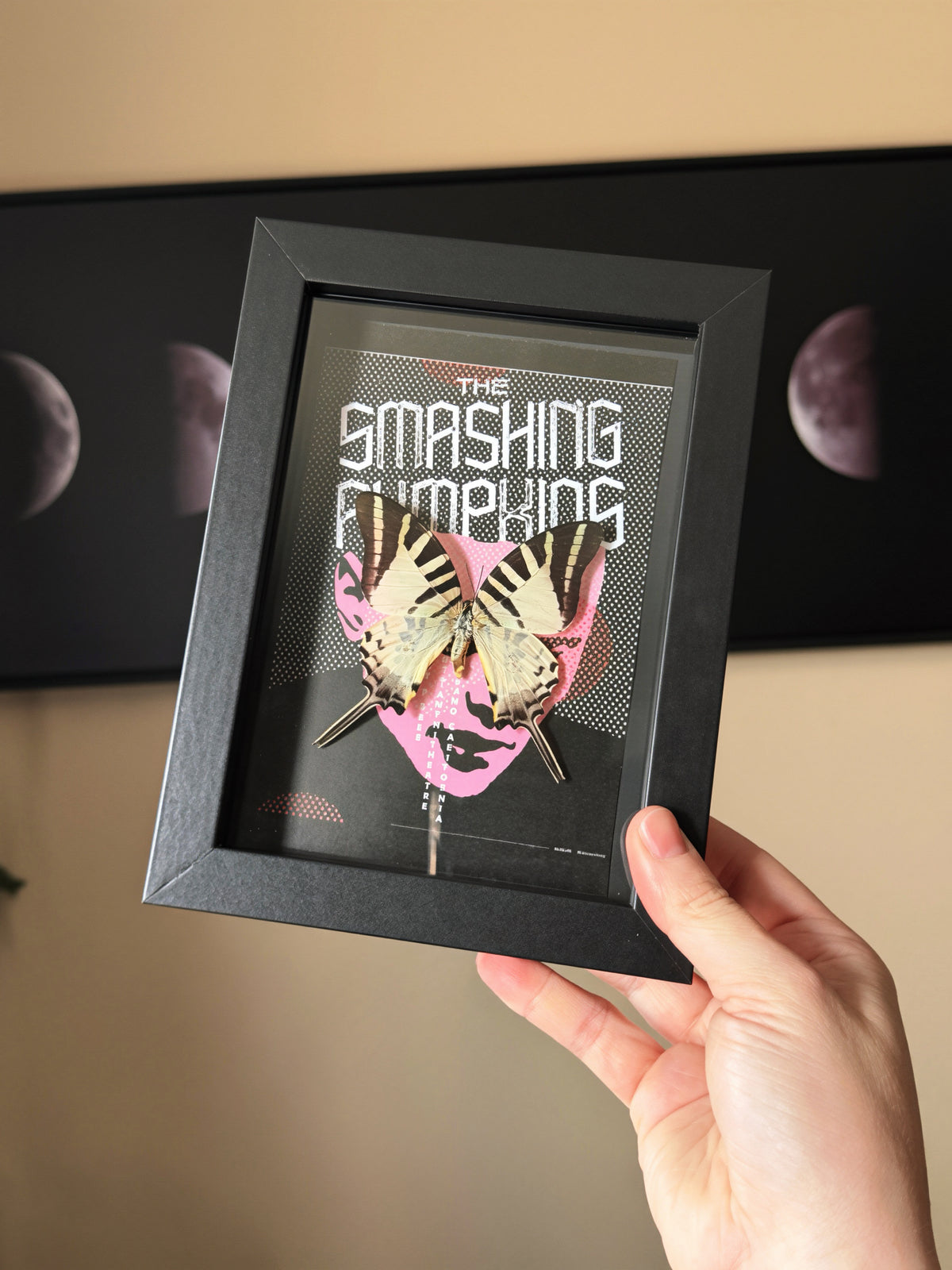 smashing pumpkins 5x7