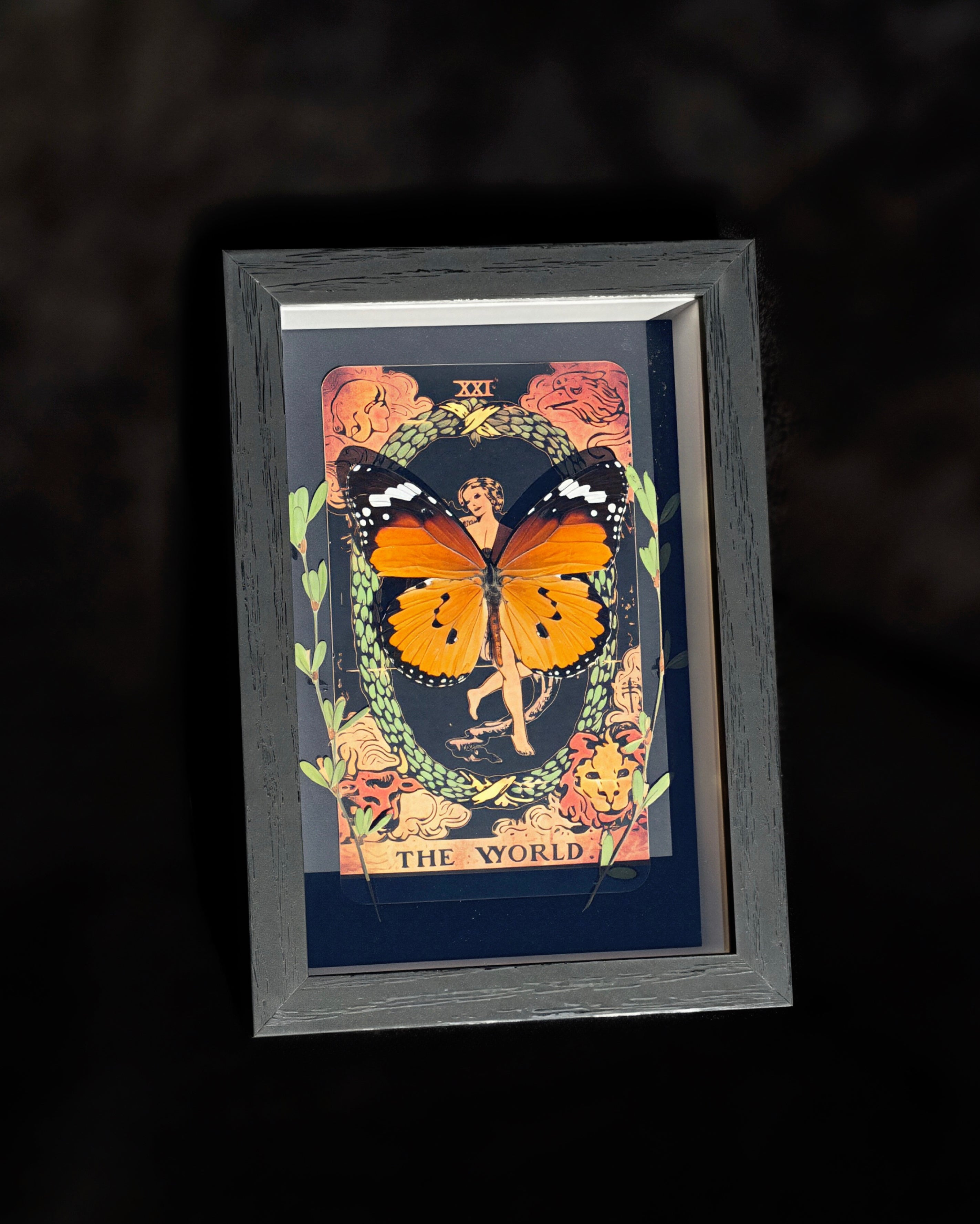 african monarch “the world” tarot collection w/ pressed florals