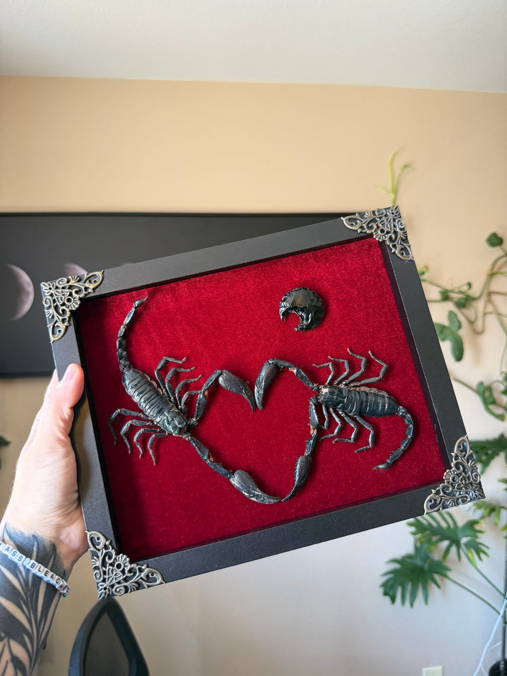 obsidian scorpion heart