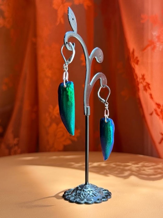 jewel beetle earwings - silver