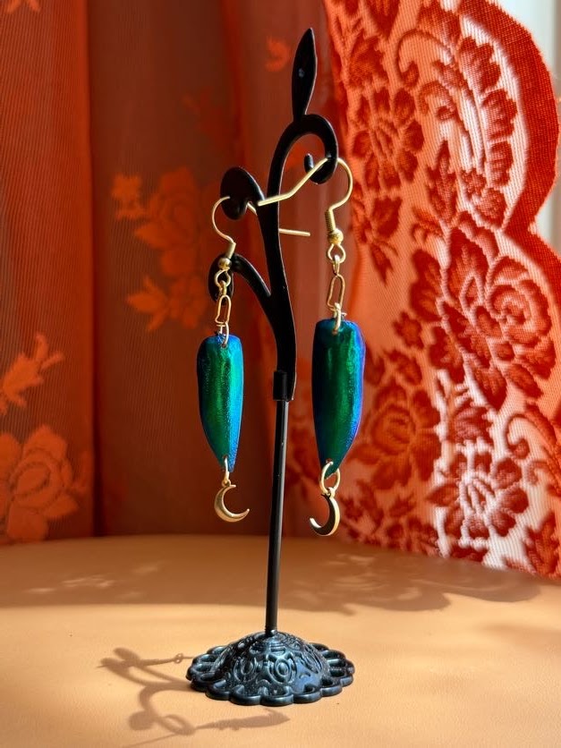 jewel beetle earwings - gold w/ moons