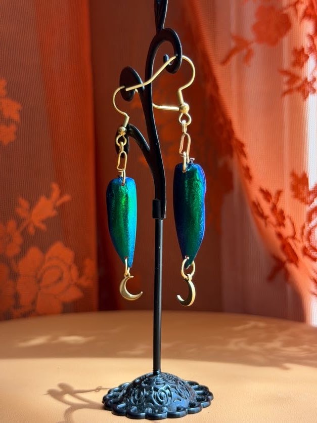 jewel beetle earwings - gold w/ moons