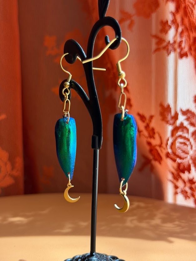 jewel beetle earwings - gold w/ moons