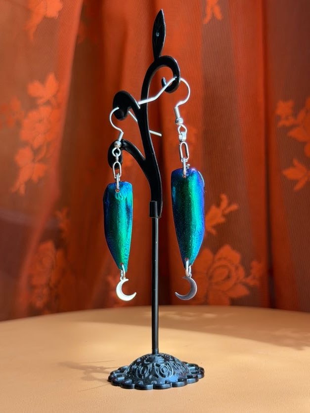 jewel beetle earwings - silver w/ moons
