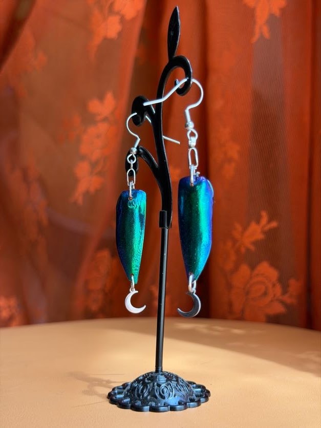 jewel beetle earwings - silver w/ moons