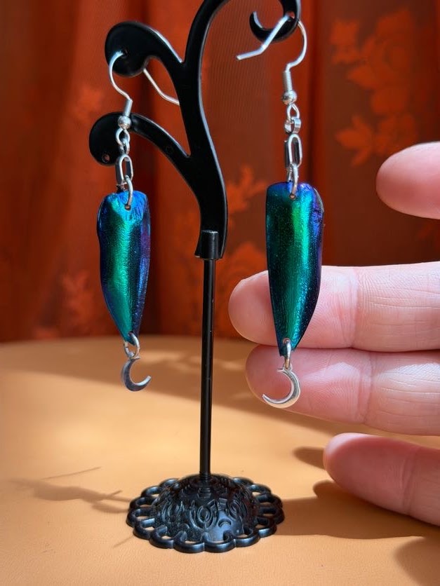 jewel beetle earwings - silver w/ moons