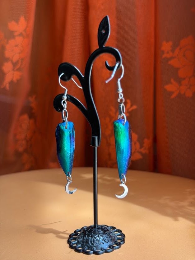 jewel beetle earwings - silver w/ moons