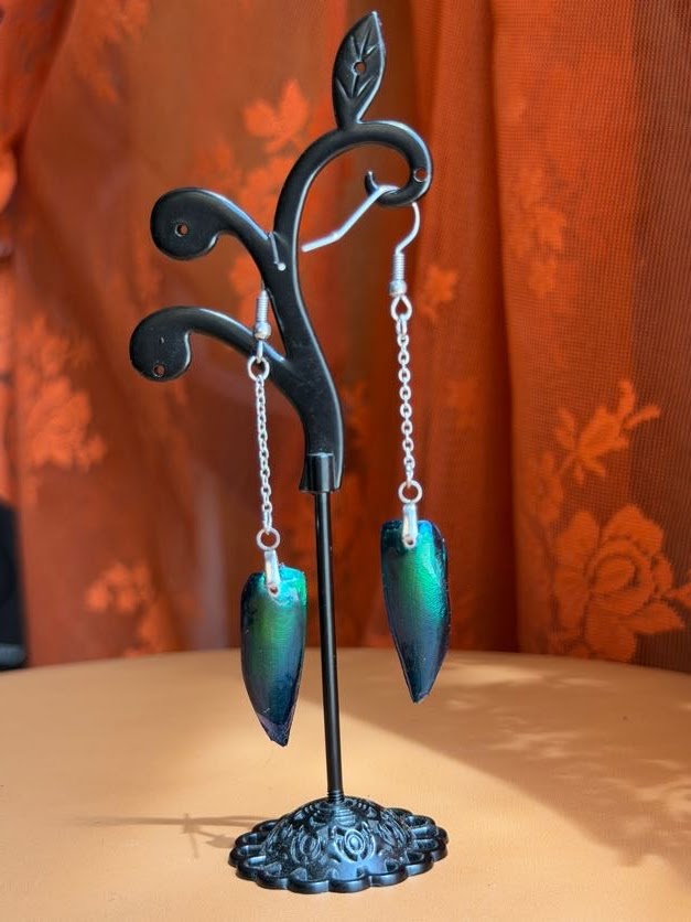 jewel beetle dangle earwings - silver