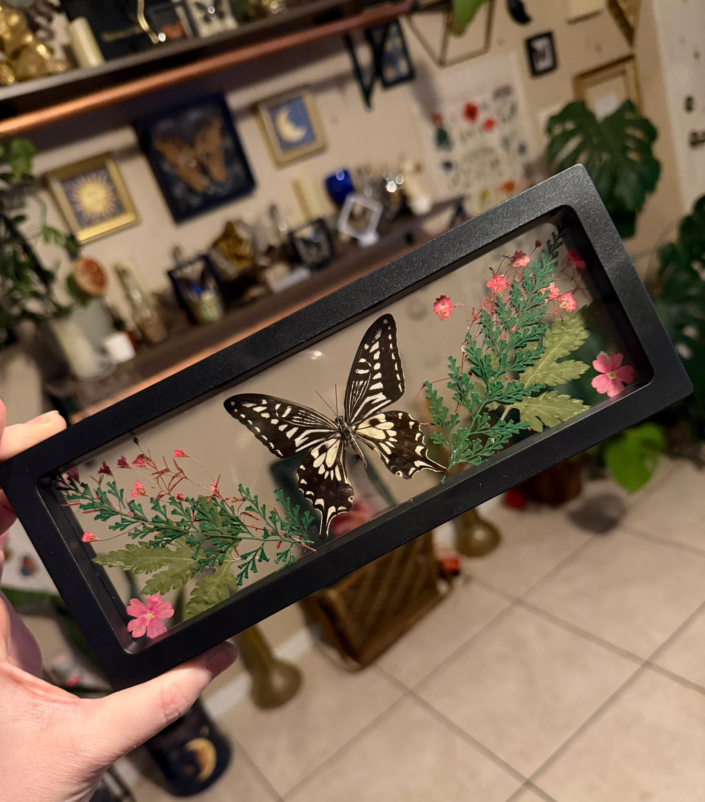 framed butterfly w/ pink florals