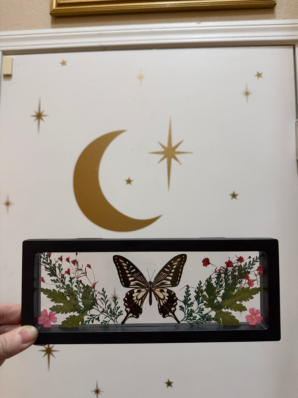 framed butterfly w/ pink florals