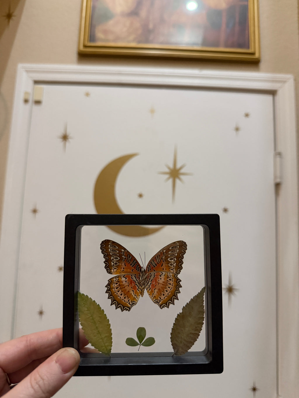 4x4 framed monarch butterfly & botanical