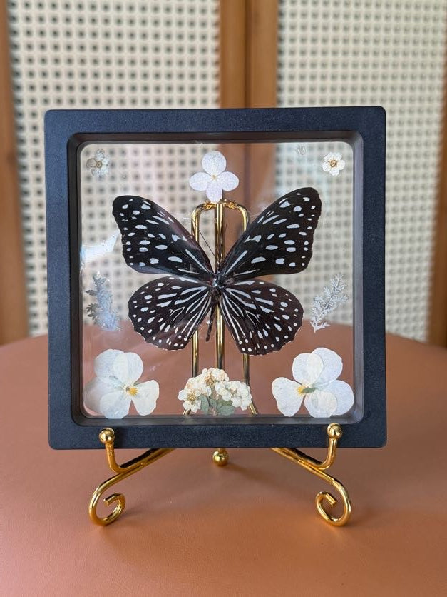 4x4 framed butterfly & botanical