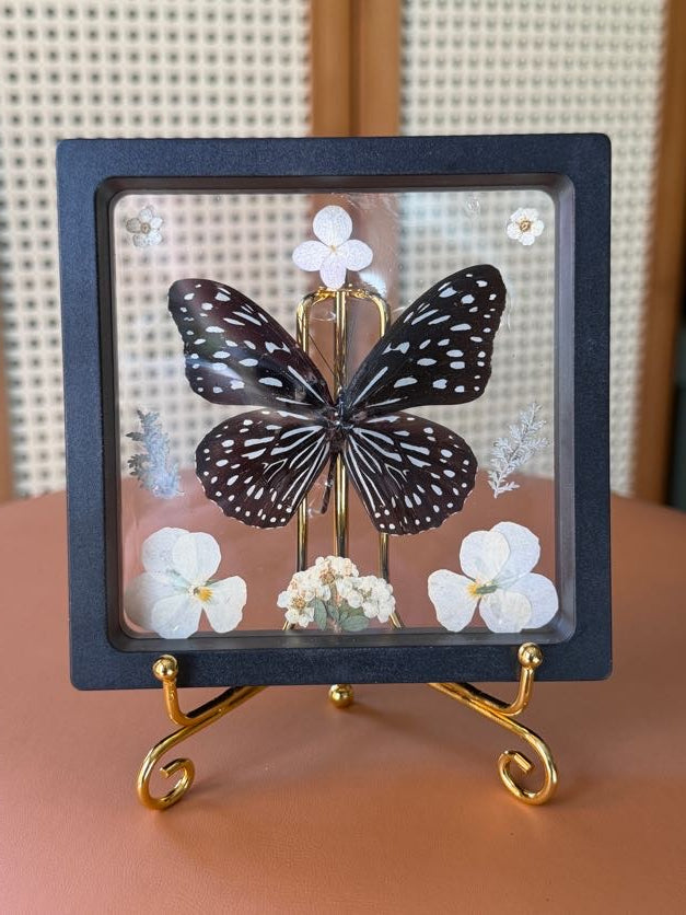 4x4 framed butterfly & botanical