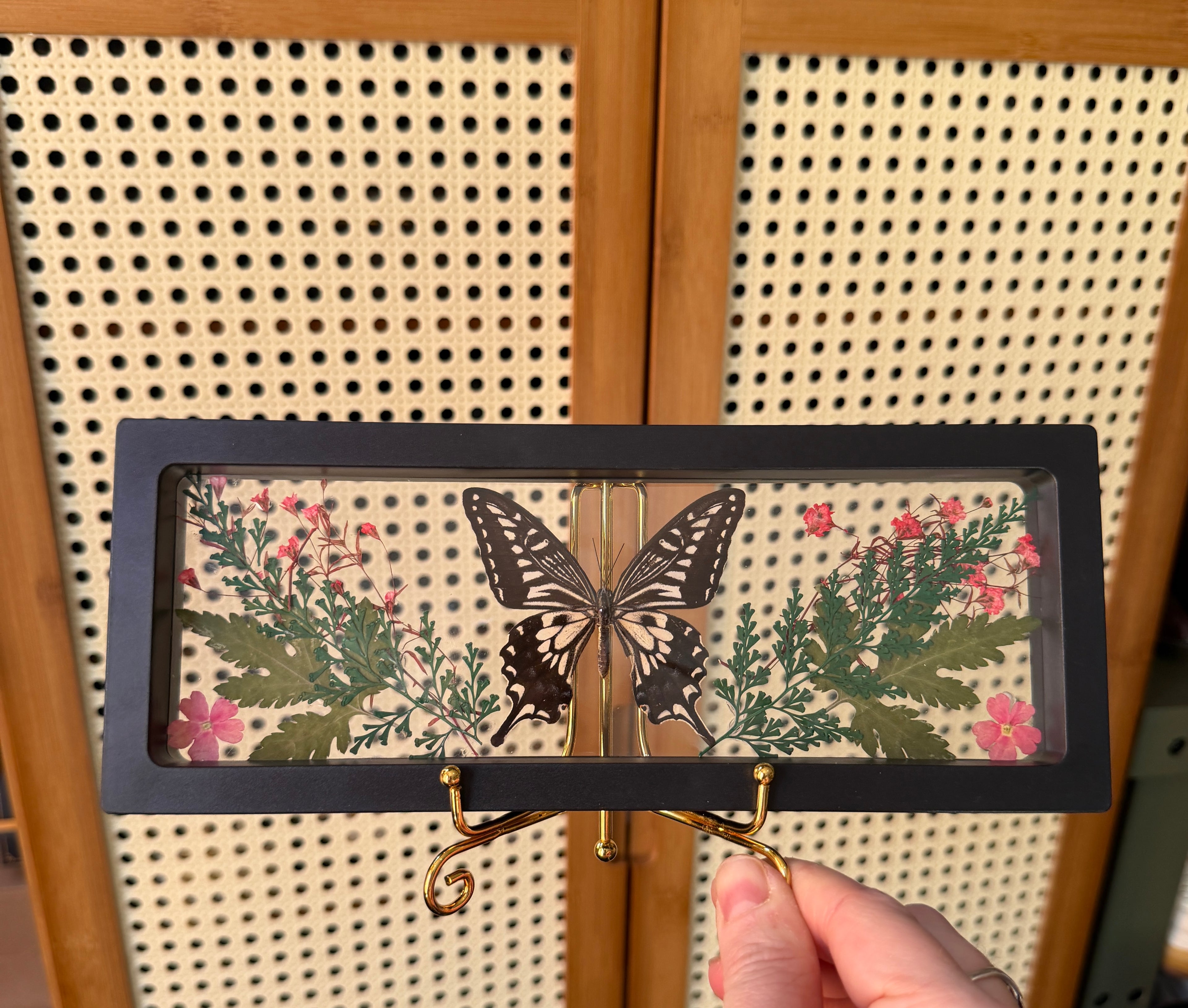 framed butterfly w/ pink florals