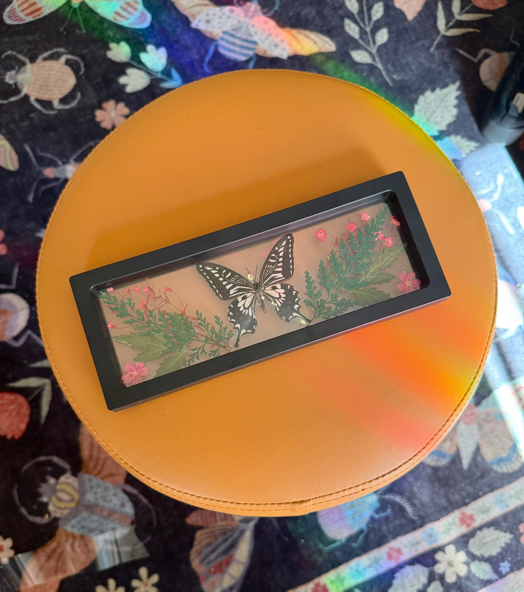 framed butterfly w/ pink florals