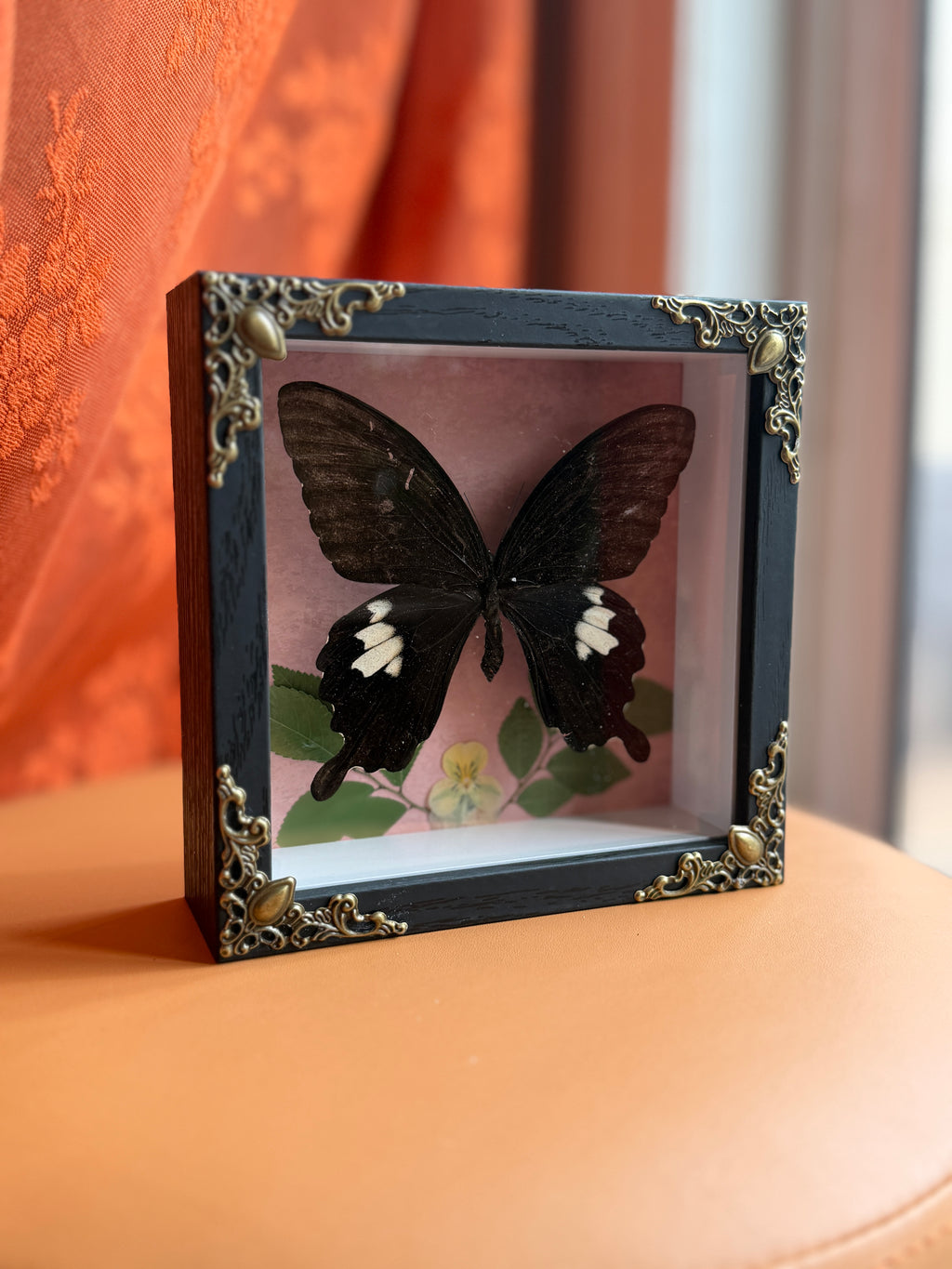 5x5 shadow box framed large butterfly w/ floral