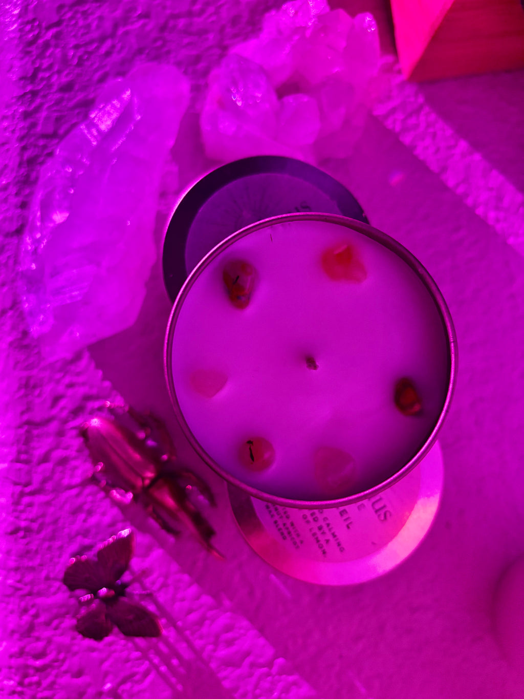 stone & citrus candle