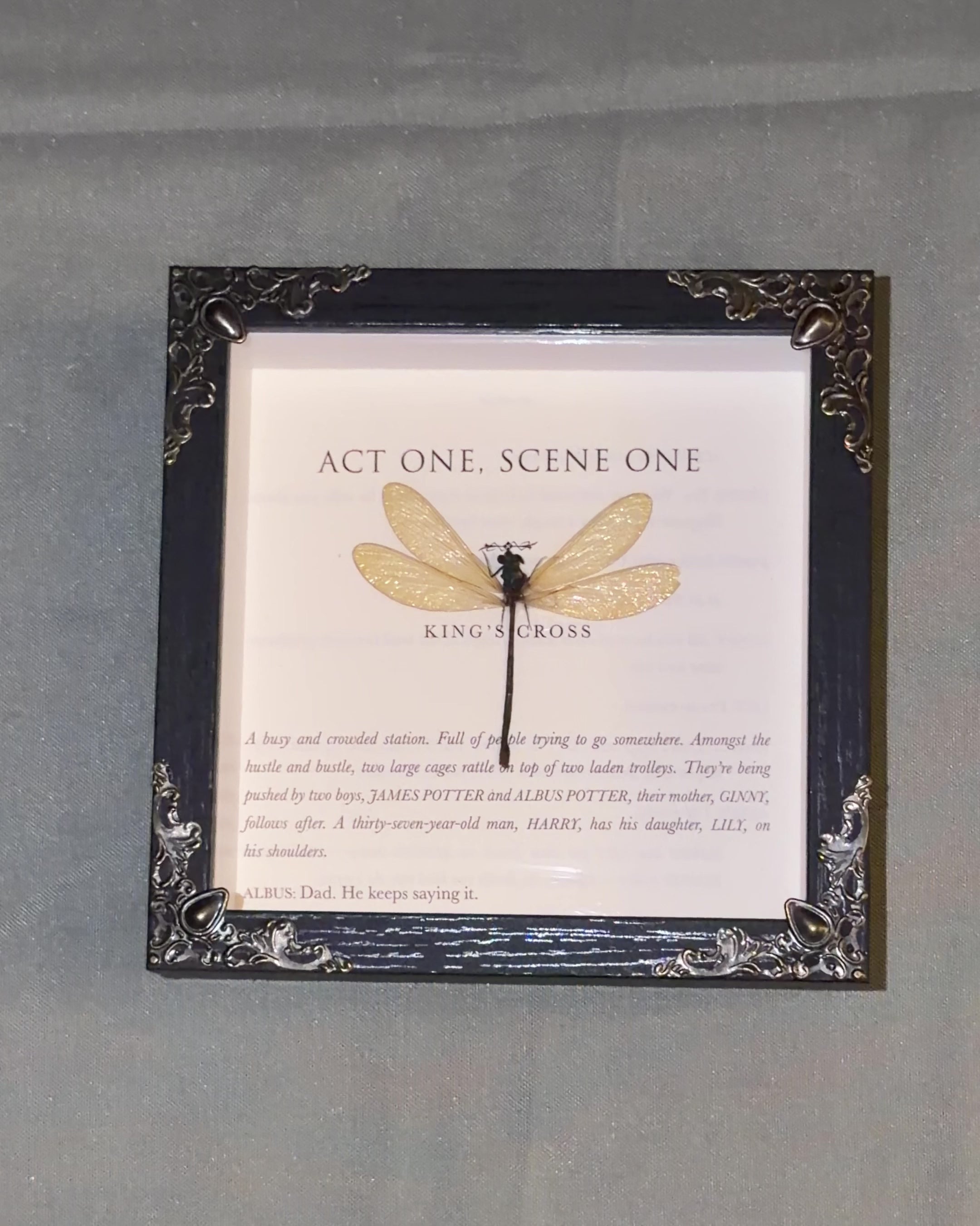 harry potter themed dragonfly