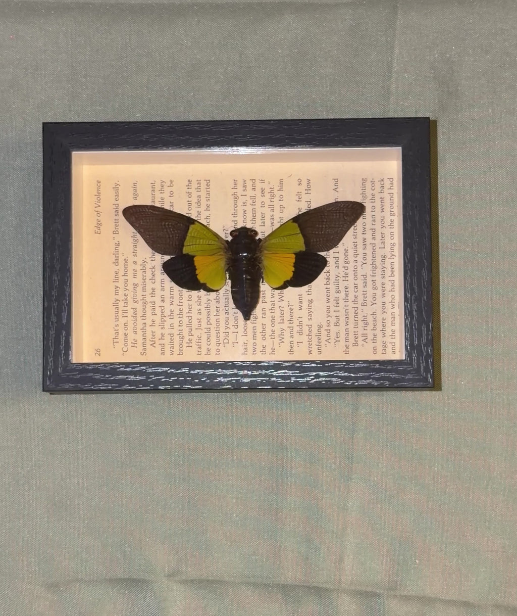 edge of violence themed green cicada