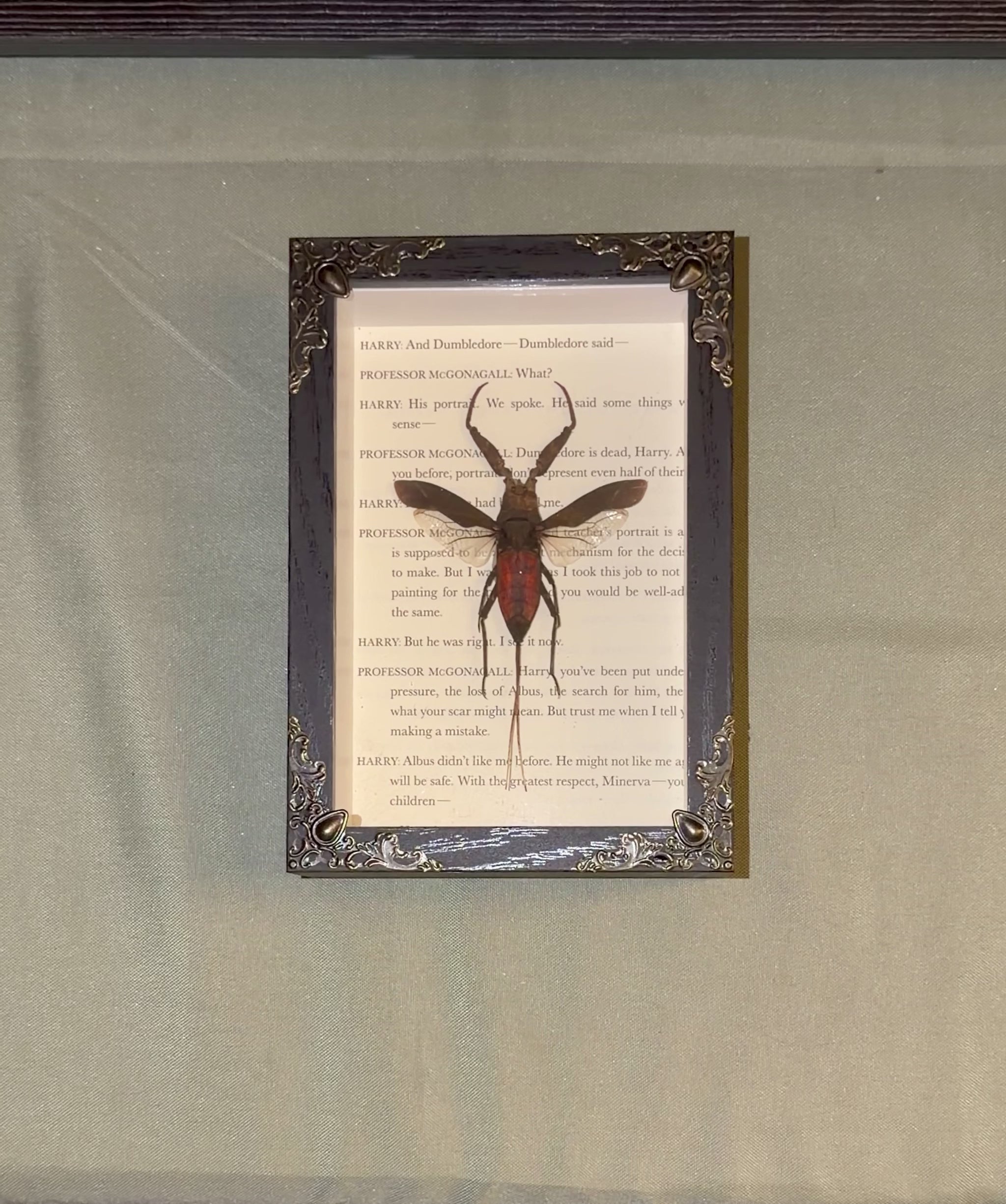 harry potter themed water scorpion